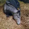 karinengel533 - @karinengel533 - TikTok