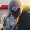 Estelle Karin - @estelle.karin - TikTok