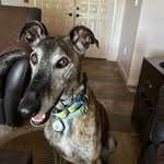 Karin Evans - @karinevans1 - Instagram