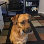 Karin Evans - @evans8922 - Instagram