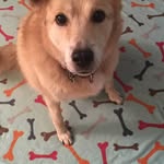 Karin Faust Zuber - @mommyz62 - Instagram