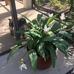 Karin Feldman - @shanti0709 - Instagram