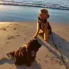 karinandresenrafoss - @karin.a.r - TikTok