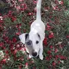 Karine Fossard806 - @karinefossard806 - TikTok