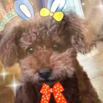 karin0806 - @karin_friends861 - Instagram