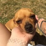 Karin Friendz - @karinfriendz - Instagram