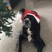 Karin Funke - Facebook