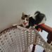 Karin Gallo - Facebook