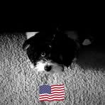 Karin Garner - Facebook