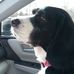 Karin Garner - Facebook