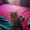 Karin Garrido - @karin.garrido - TikTok