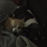Karin Geiger - @geiger2946 - Instagram