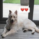 Karin Geselle - @karingeselle - Instagram