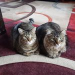 Karin Gilbert - @ksgilbert10 - Instagram