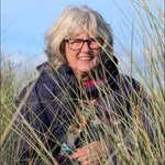 Karin Goetz - @karinjune58 - Instagram