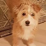 Karin Goldmann - @karin.goldmann - Instagram