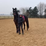 Karin Goldstein - @equivalentkaringoldstein - Instagram
