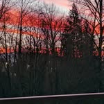 Karin Gordon - @purple_dragonfly - Instagram