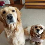 KARIKURU - @karingram24 - Instagram
