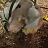 grannyk - @grannykarin - TikTok
