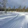 Karin Grann - @karingrann - TikTok