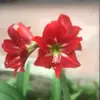 Karin Grant - @karin.grant86 - TikTok