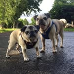 Karin Graser - @karin39.graser - Instagram