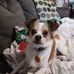 Karen Grooms - Facebook