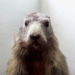 KARIN GRUBER - @karingruberphotography - Instagram