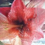 Karin Gruber - @karin.gruber.92754 - Instagram