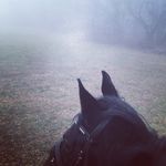 Karin Gruber-hager - @karingruberhager - Instagram