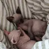 Karin Haar - @karin.haar - TikTok