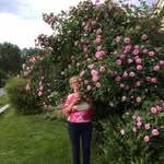 Karin Haare johansen - @karinhaarejohan - Instagram