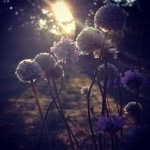 Karin Haleby - @karinhaleby - Instagram