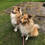 Karin Hallberg - @fru.hallberg - Instagram