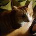 Karin Hamm - Facebook