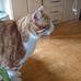 Karin Hamm - Facebook