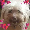 karinhammes609 - @karinhammes609 - TikTok