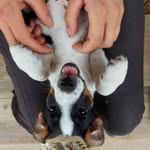 @karin_hammer_ - Instagram