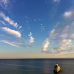 Karin Handl - @handlkarin - Instagram