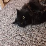 Karin  Hebert - @karinhebert1 - Instagram