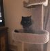 Karin Hebert - Facebook