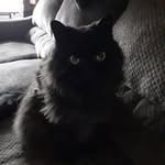 Karin Hebert - @karinhebert2 - Instagram