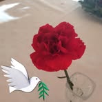 Karin Hellmann - Facebook