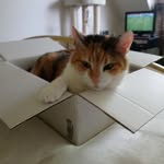 Karin Hellmann - @hellmann.karin - Instagram