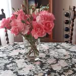 Karin Sartoris-Hellmann - @sartorishellmann - Instagram