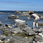 Karin Henning - @henningkarin - Instagram