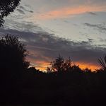 karin henning - @karryhenning - Instagram