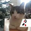 Karin Holler - @karin.holler - TikTok