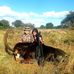 Karin Jacobs - Facebook